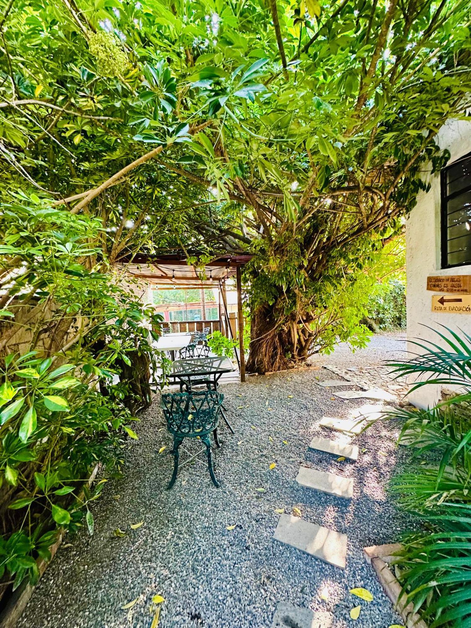 Posada Teopanco 迪坡斯特兰 外观 照片